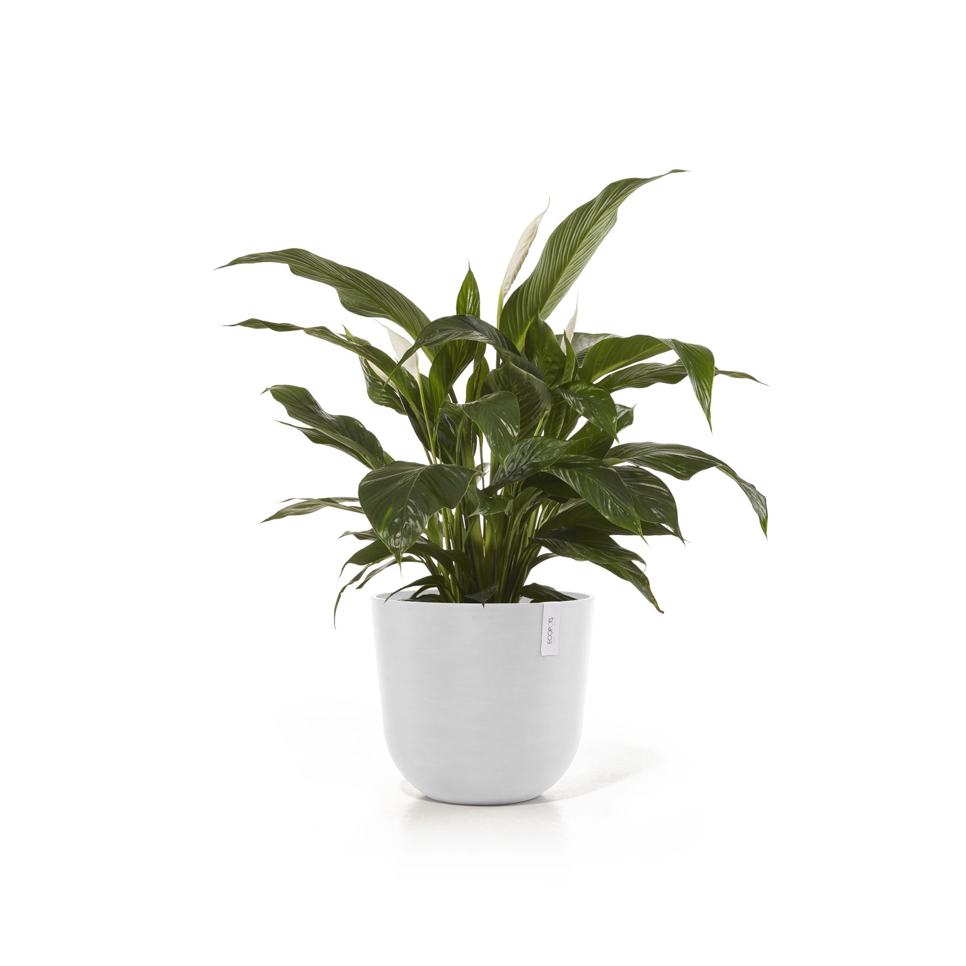 ecopots-Oslo-Pure-Wite-45-cm-H39-2-cm