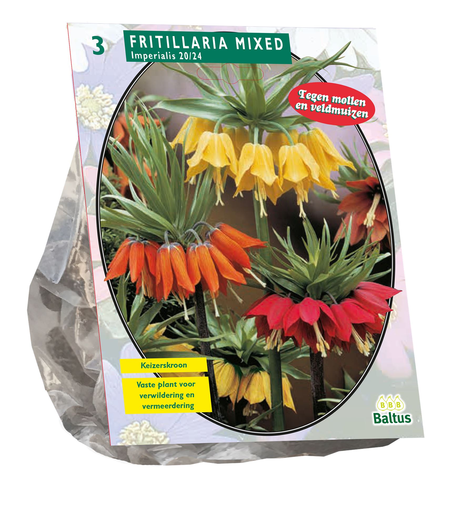 Baltus 'Fritillaria Imperialised' voorjaarsbloeiers - Mix - 3 bollen