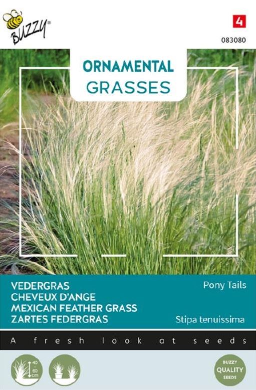 Buzzy-Ornamental-Grasses-Stipa-tenuissima-Pony-Tails-