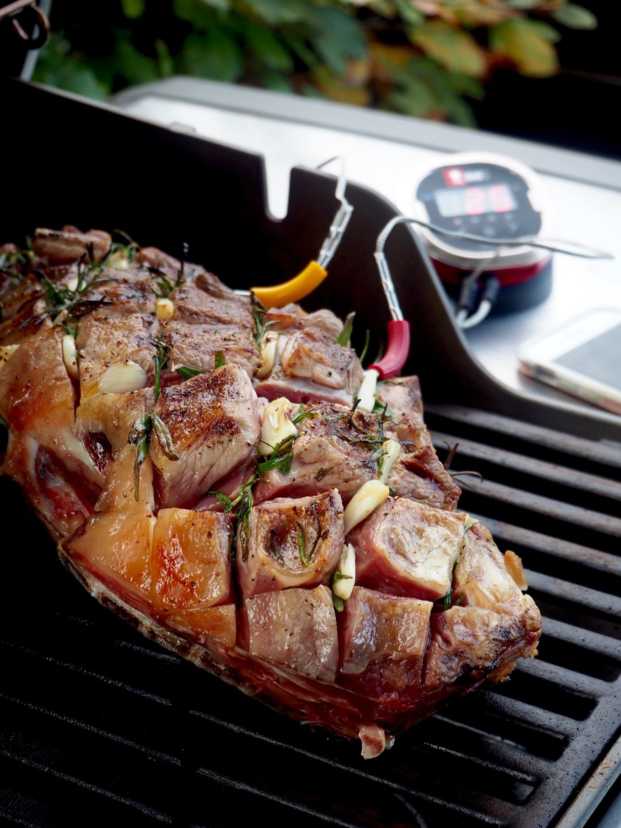 Weber-iGrill-2-voor-weber-app-