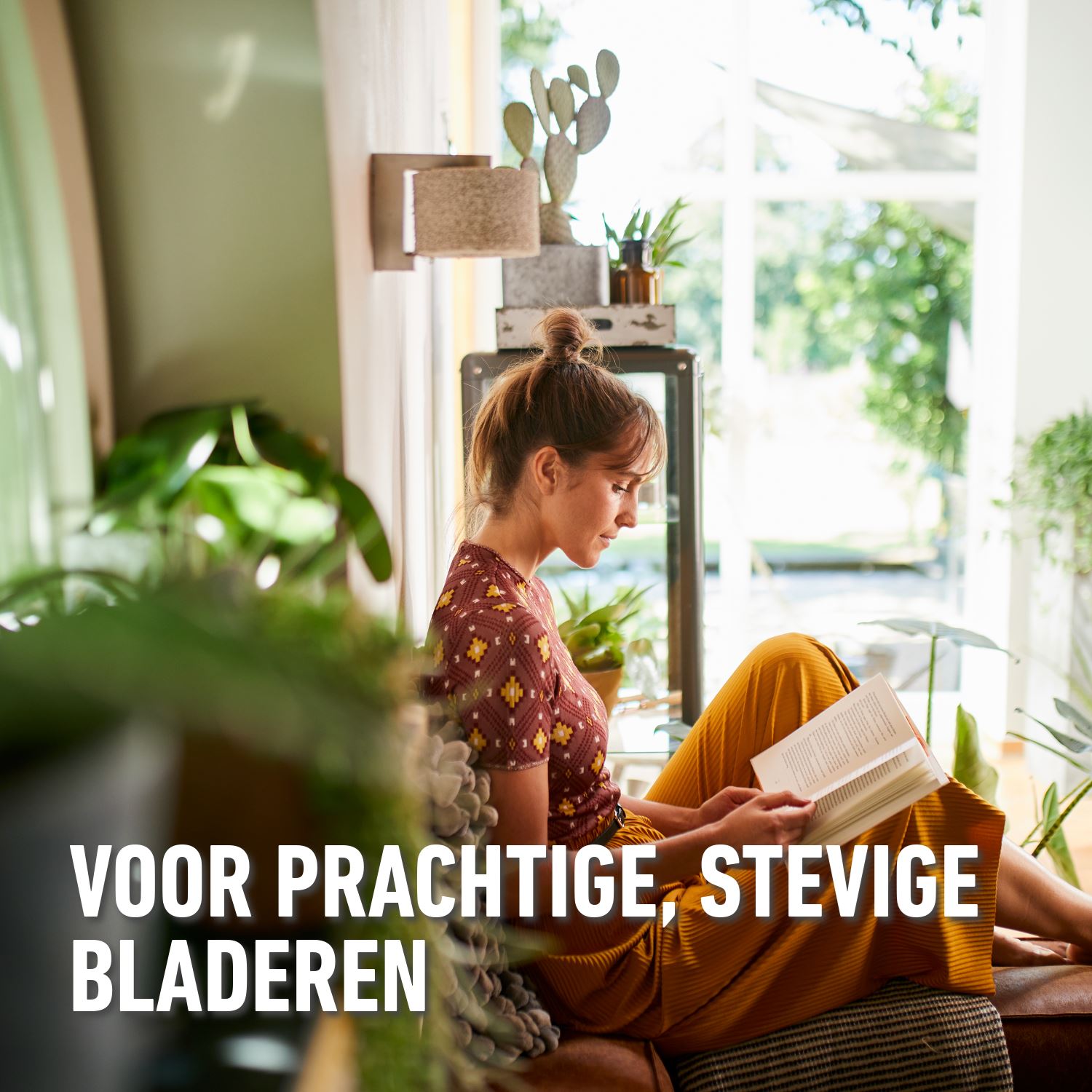 Compo-herstelkuur-kamerplanten-150ml-5x30ml-