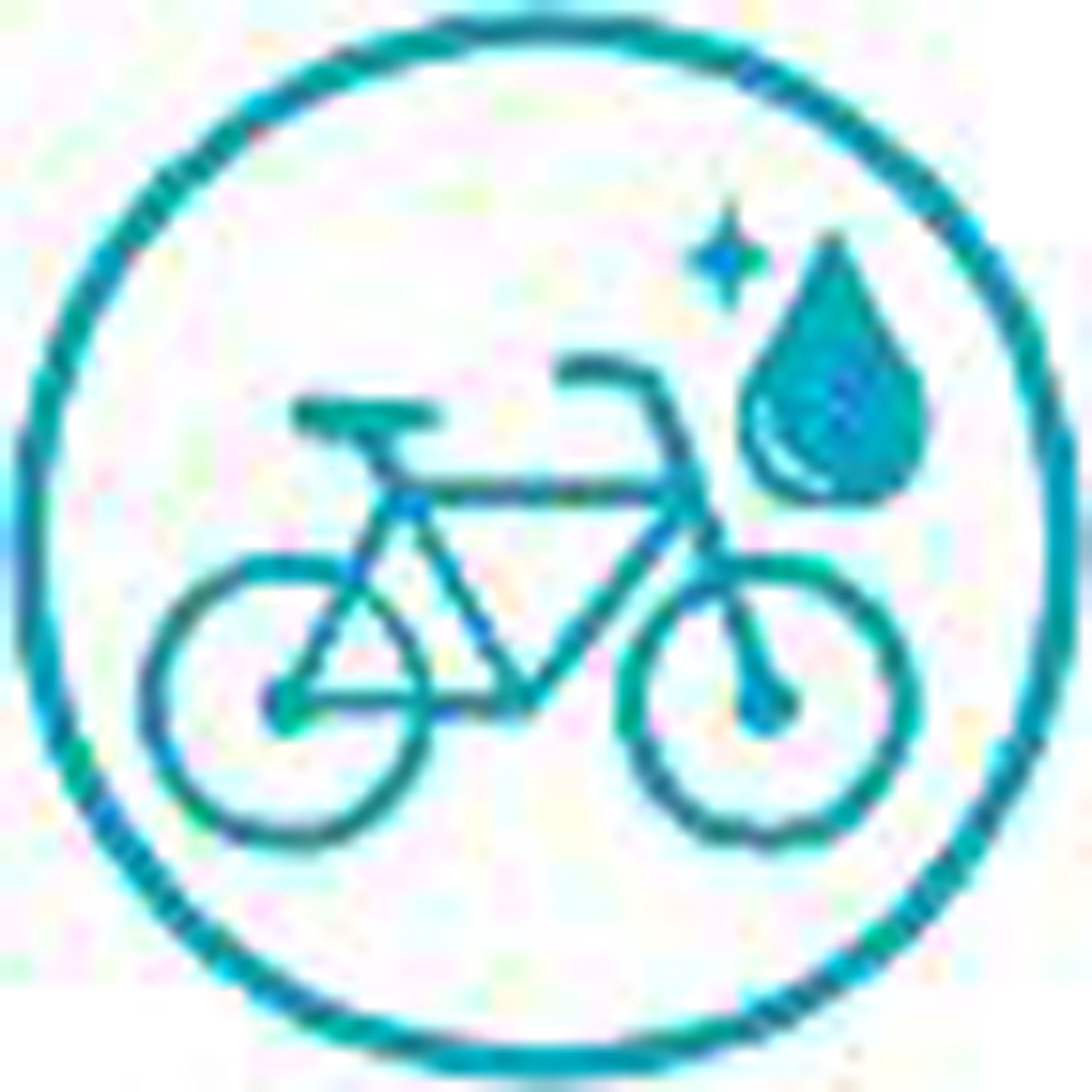 Cleansystem-borstel-voor-fiets
