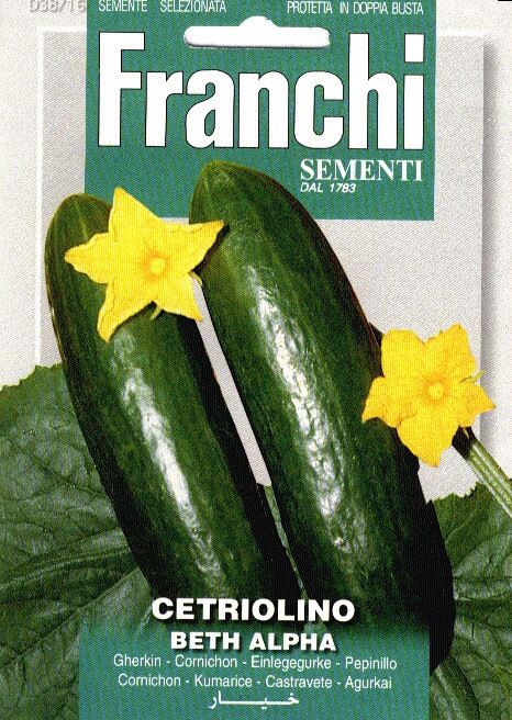 Fr-Augurk-Cetriolino-Beth-Alpha-38-16
