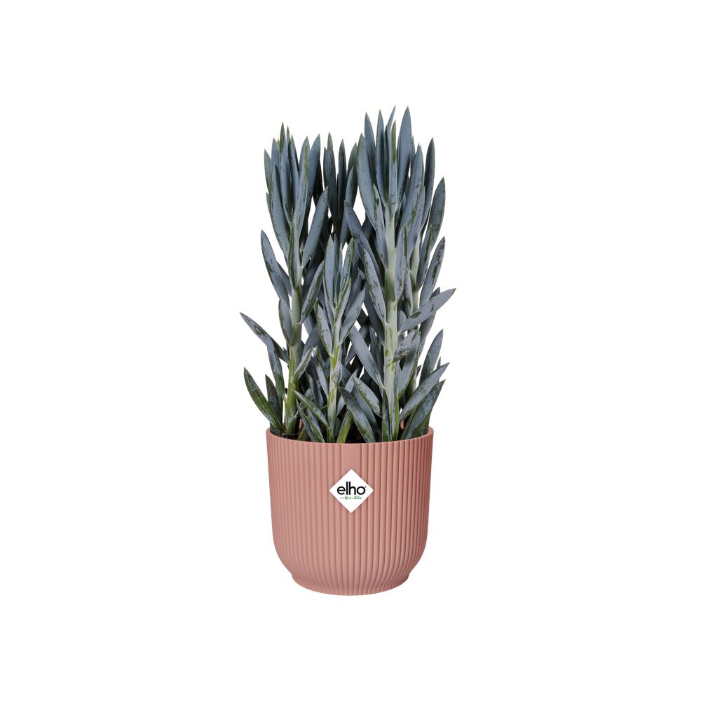 Bloempot-vibes-fold-rond-wielen-35cm-delicaat-roze
