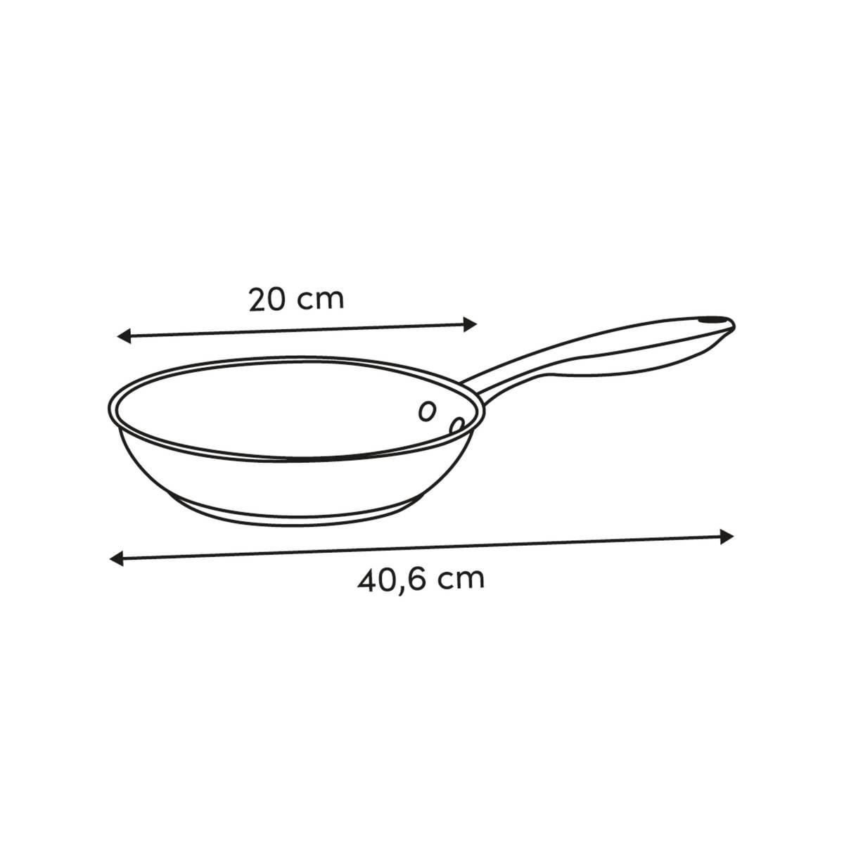 Braadpan-inox-D20cm