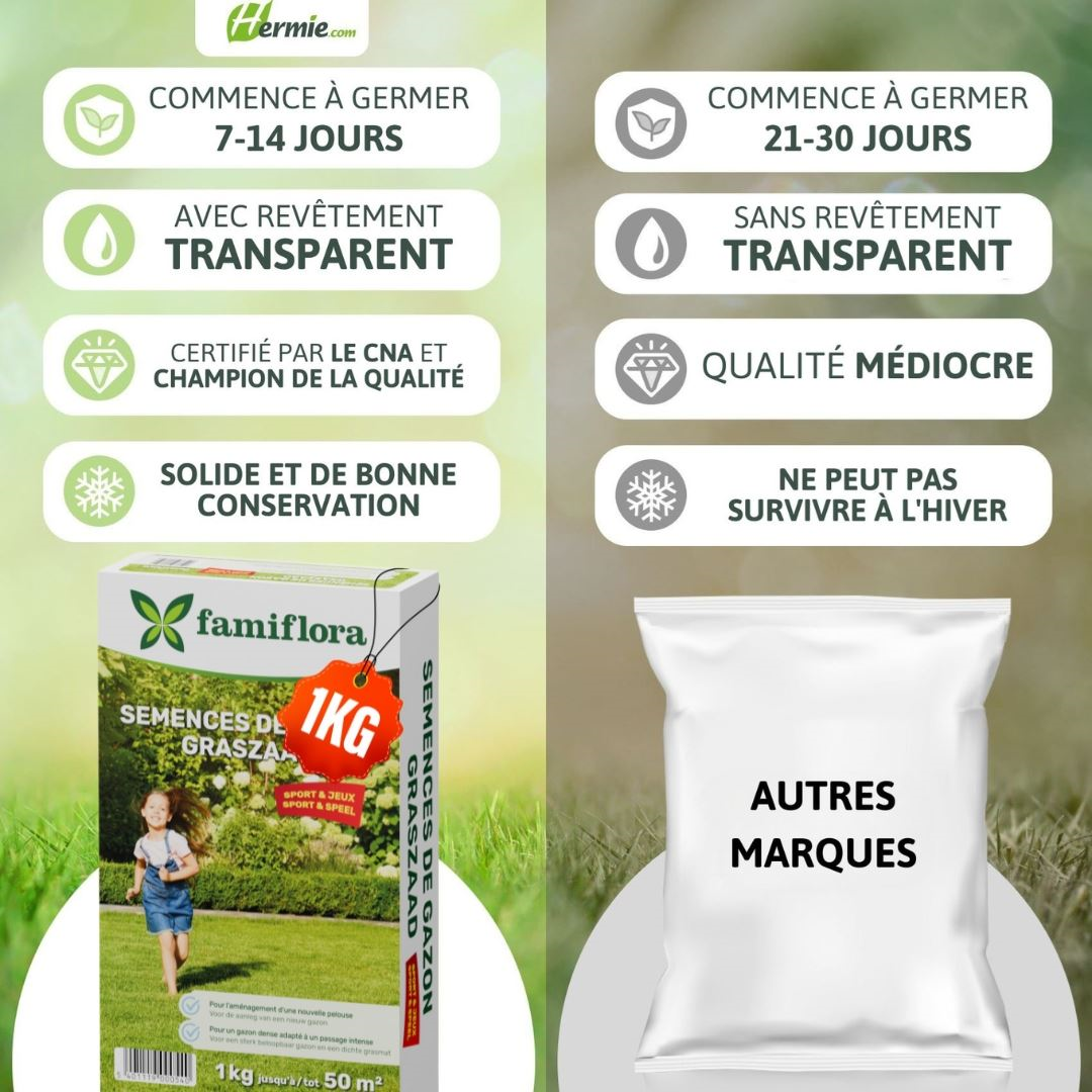 Famiflora graine de gazon Play & Sport - pour l'établissement d'un nouveau gazon - 1kg jusqu'à 50m²