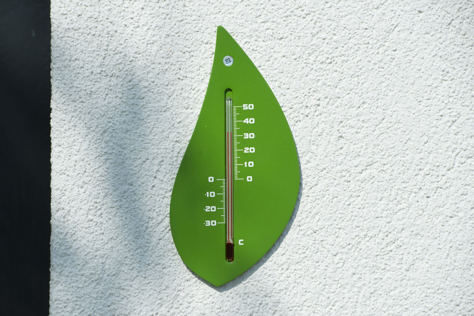 Muurthermometer-kunststof-groen-boomblad-15x8x0-3cm