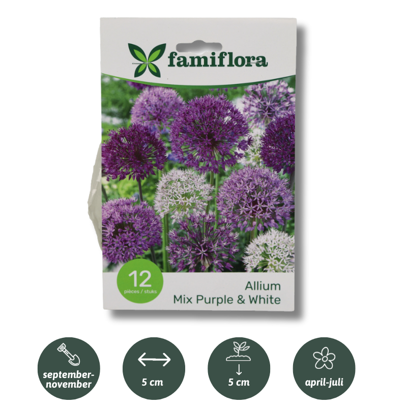 Famiflora Allium Mix Purple/White - 12 bulbs - Size 10/12 - Spring flowering bulbs