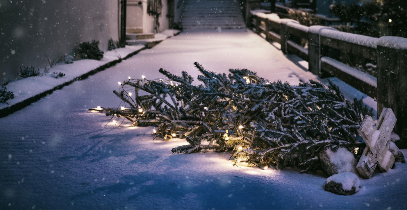 Red jouw kerstboom van de brandstapel!