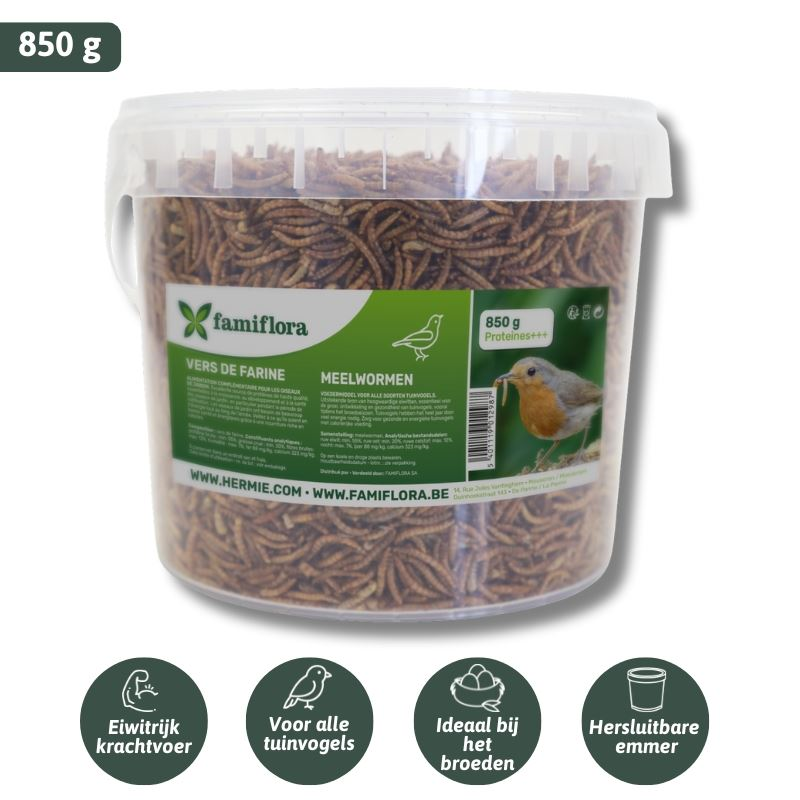 Famiflora gedroogde meelwormen 850 g = ± 5L in hersluitbare emmer - voor tuinvogels