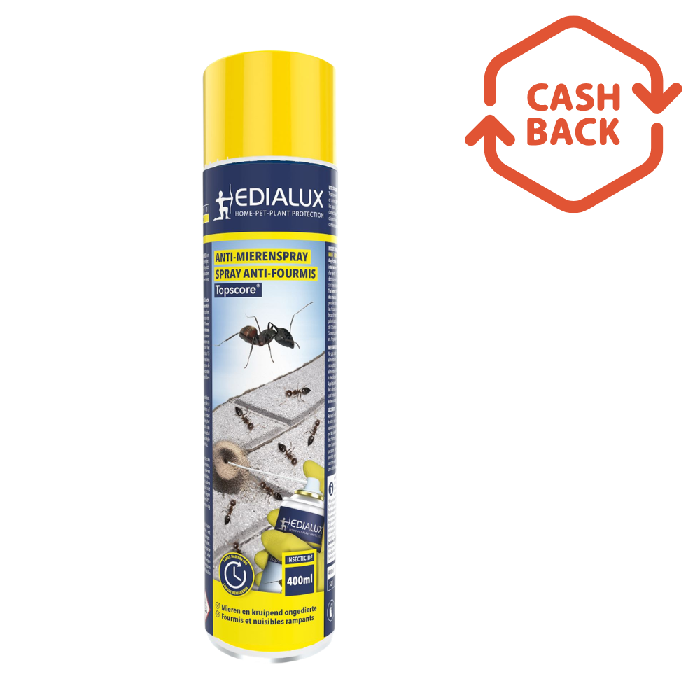 Edialux Topscore Mieren Spray – 400 ml – Langdurige bescherming tegen mieren en kruipende insecten