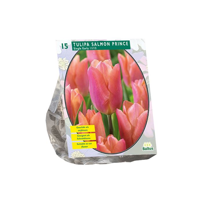 Tulipa-Salmon-Prince-Enkel-Vroeg-per-15