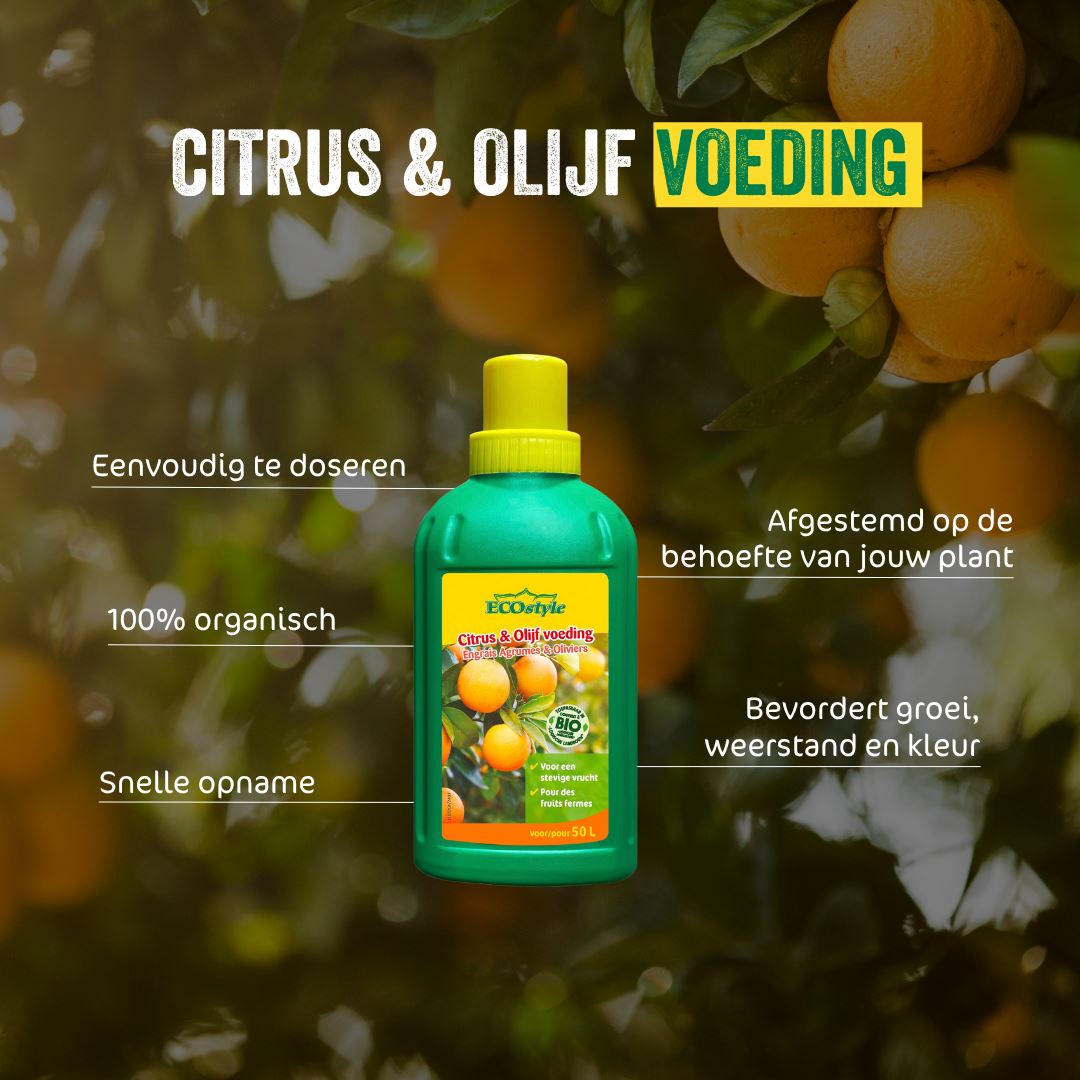 Citrus-Olijf-voeding-500-ml