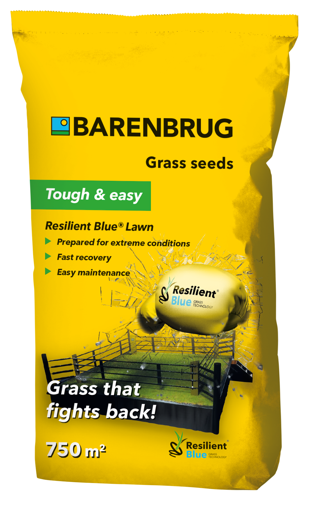 Barenbrug graszaad Resilient Blue Lawn - gras dat terugvecht - 15kg tot 750m²