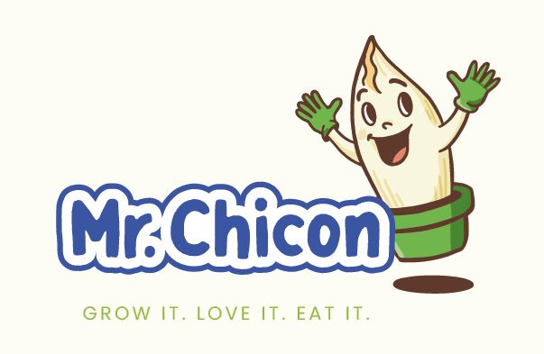 Witloofwortel-Mr-Chicon-zak-50stuks