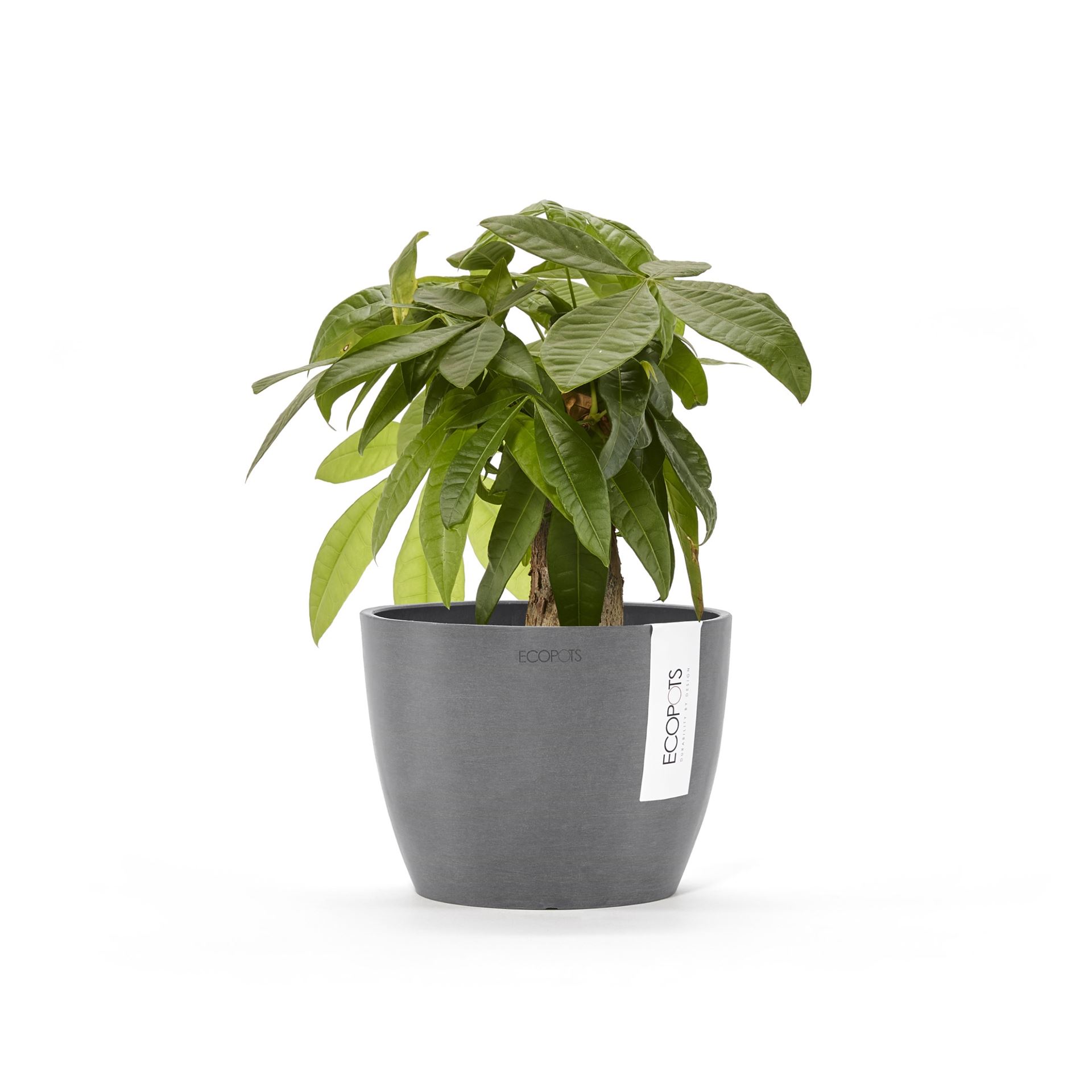 Ecopots-stockholm-mini-grey-16-cm-H12-5-cm