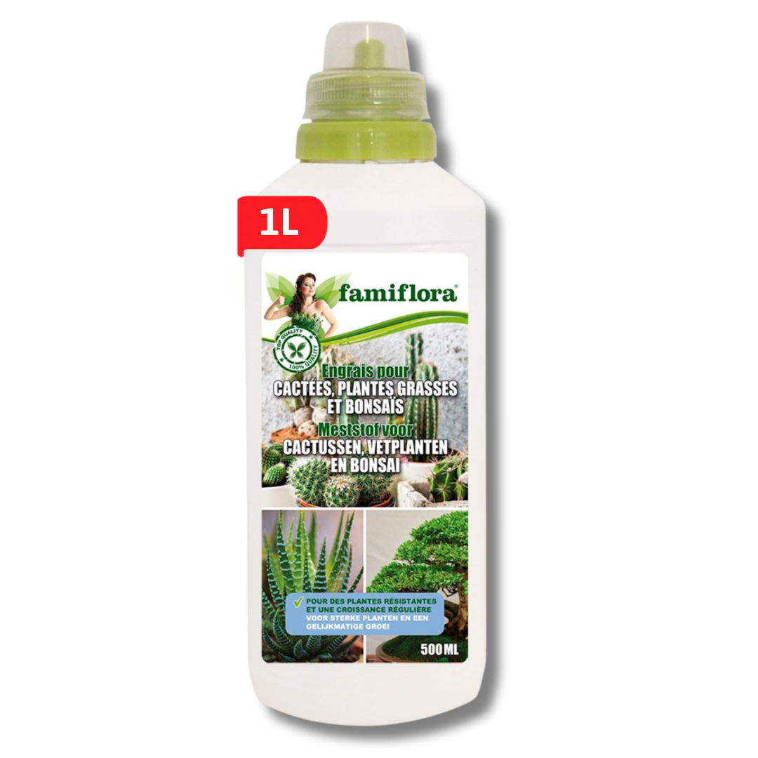 Famiflora engrais liquide pour cactus, plantes grasses et bonsaïs - 0.5L