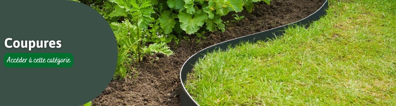 nature bordure de jardin