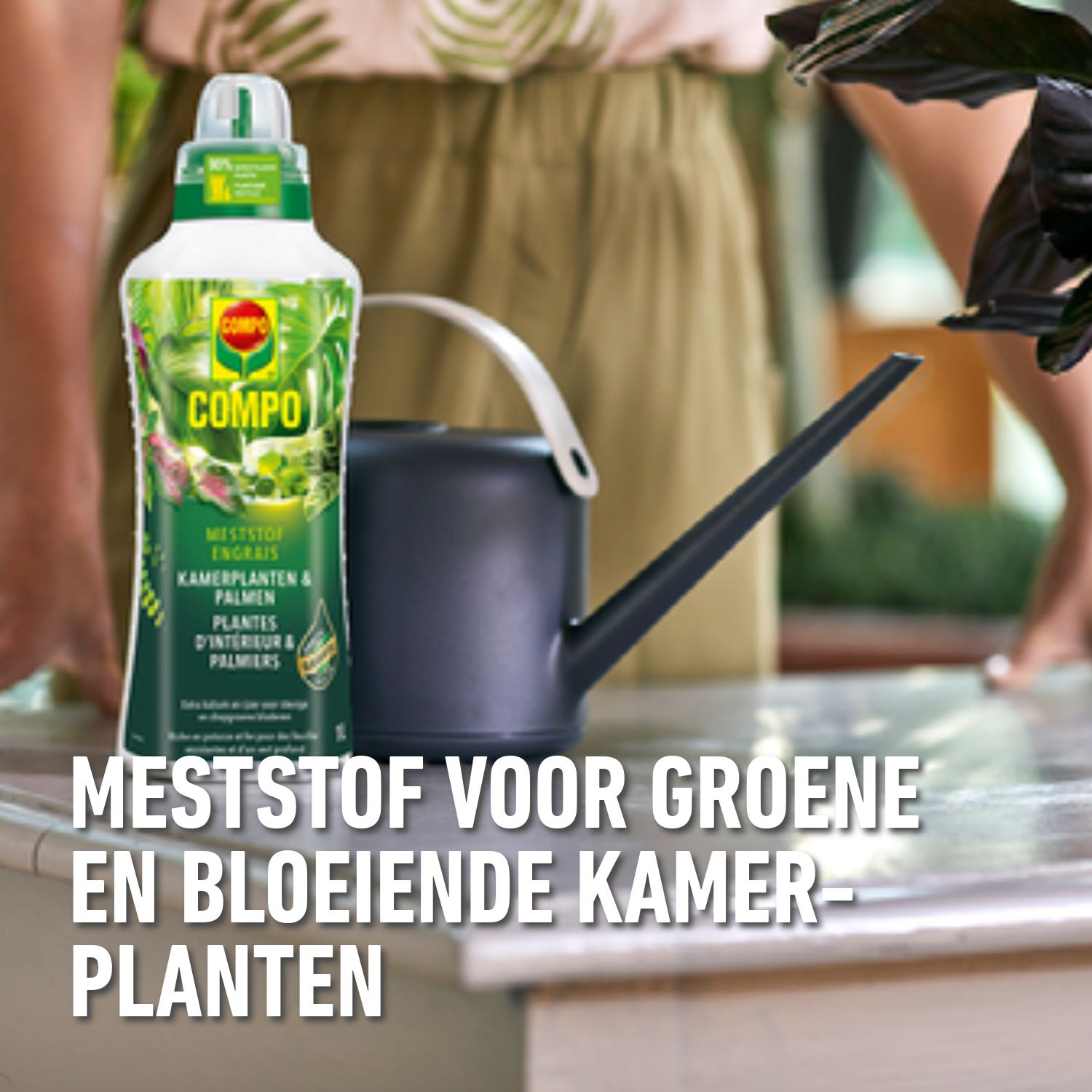 Compo-vloeibare-meststof-kamerplanten-palmen-1L