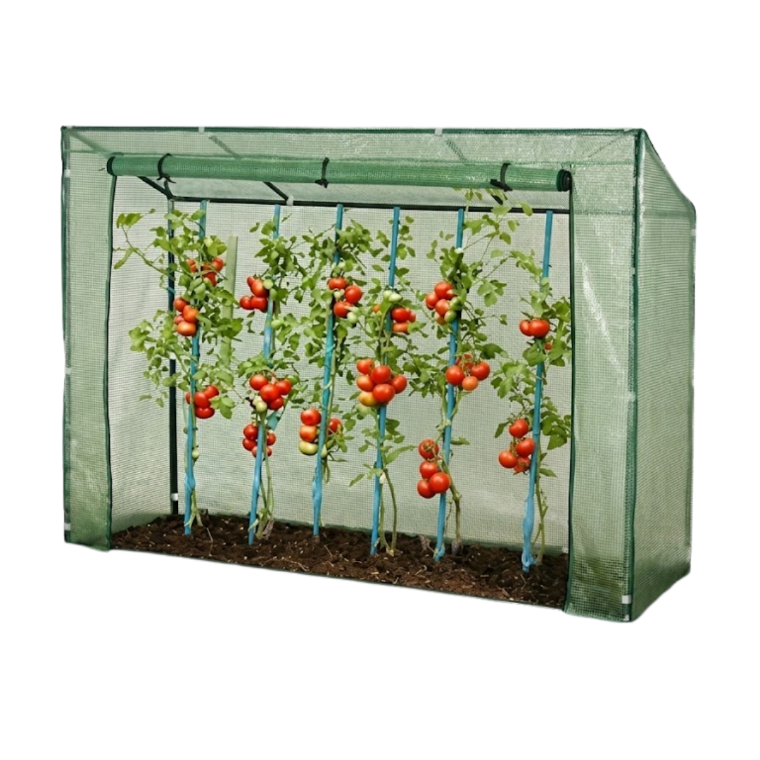 Famiflora tomatenserre met raam - 200x77x168cm - groen