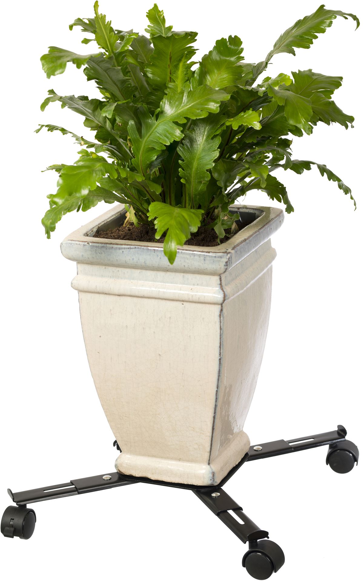 Verstelbare-planttrolley-epoxy-metaalkleur-mat-zwart-4-armen-draaggewicht-100-kg-4-PP-40-mm-wielen-2
