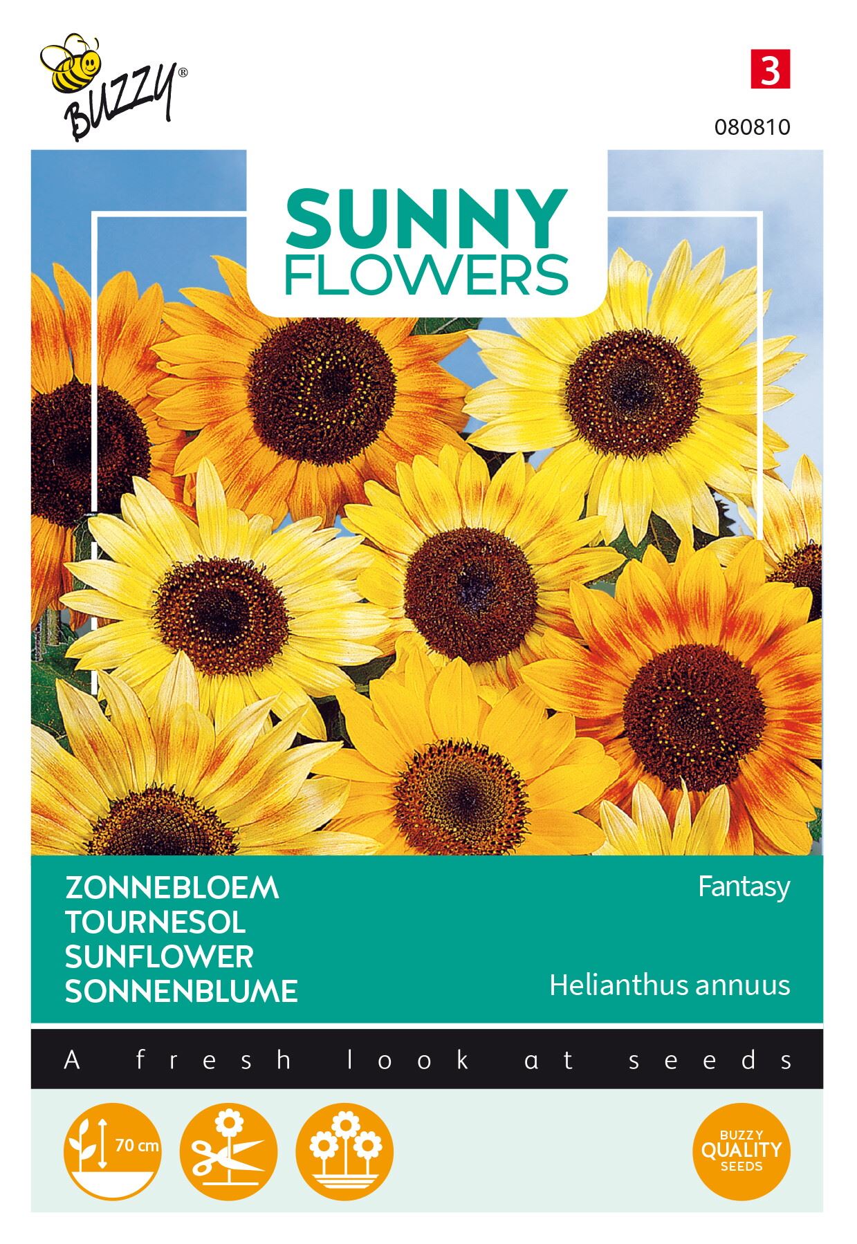 Buzzy-Sunny-Flowers-Zonnebloem-Music-Box