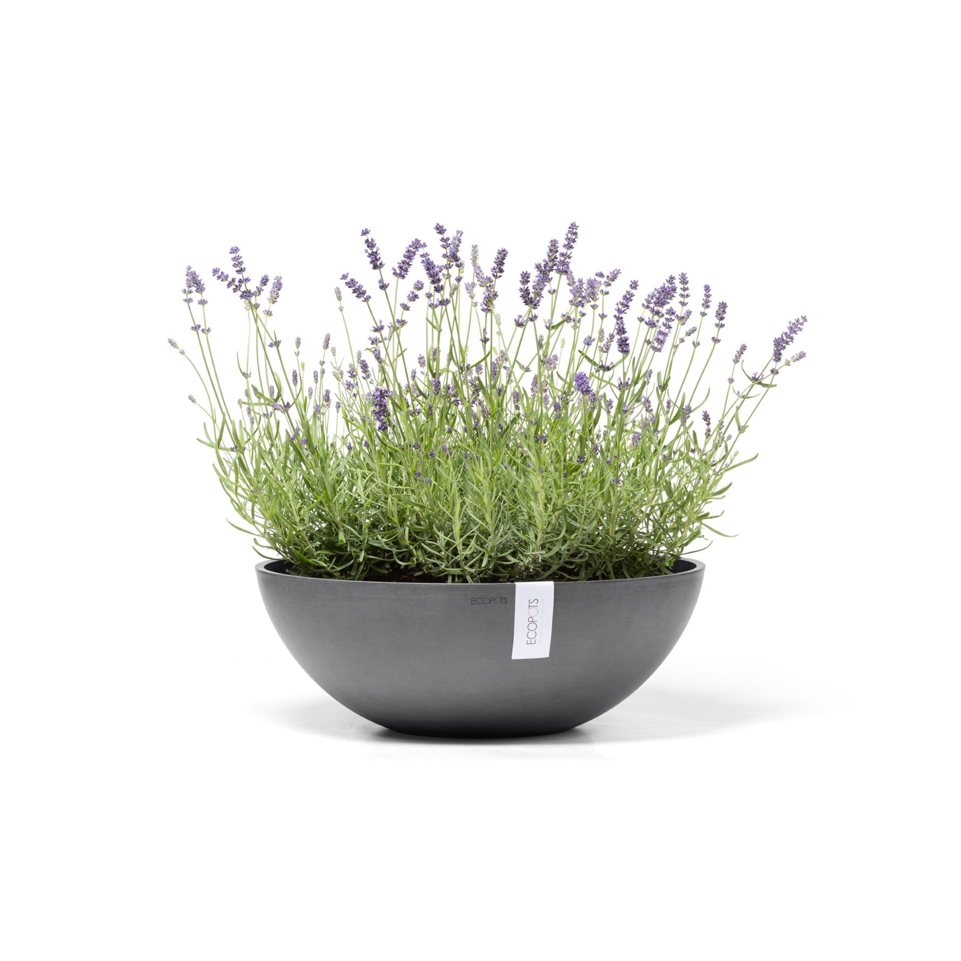 Ecopots-vienna-grey-50-cm-H-18cm