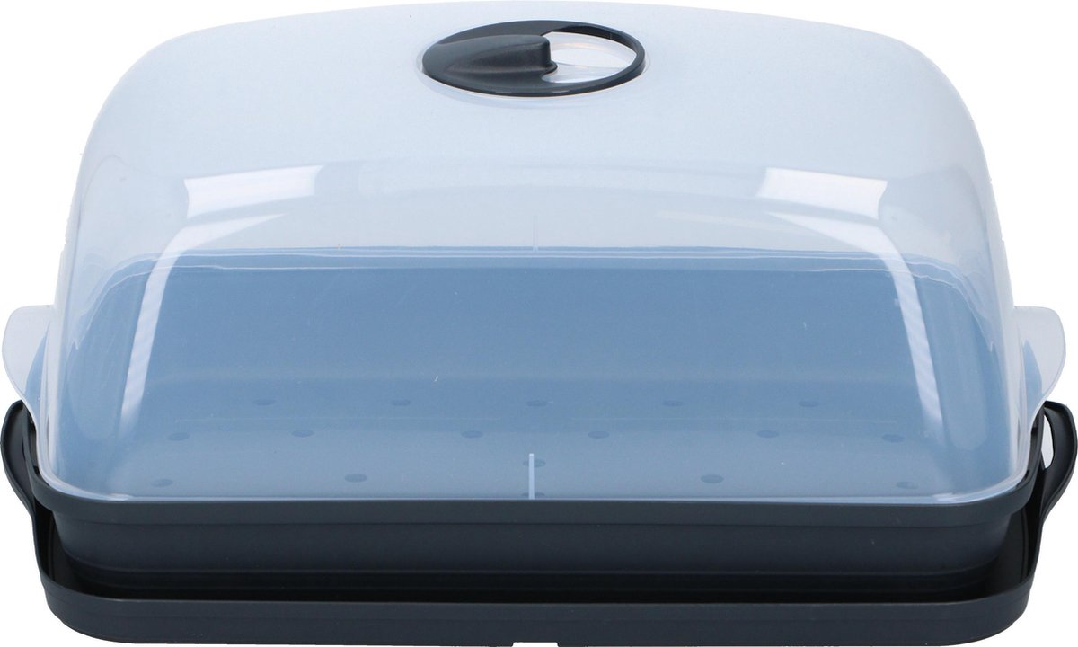 Prosperplast Respana Table Greenhouse - Nursery - Anthracite - 39 cm