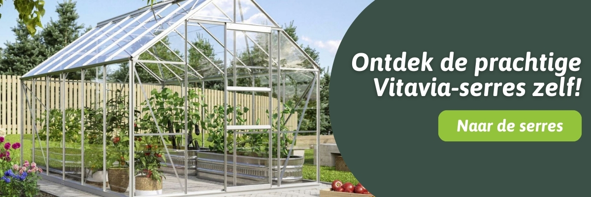 vitavia greenhouses