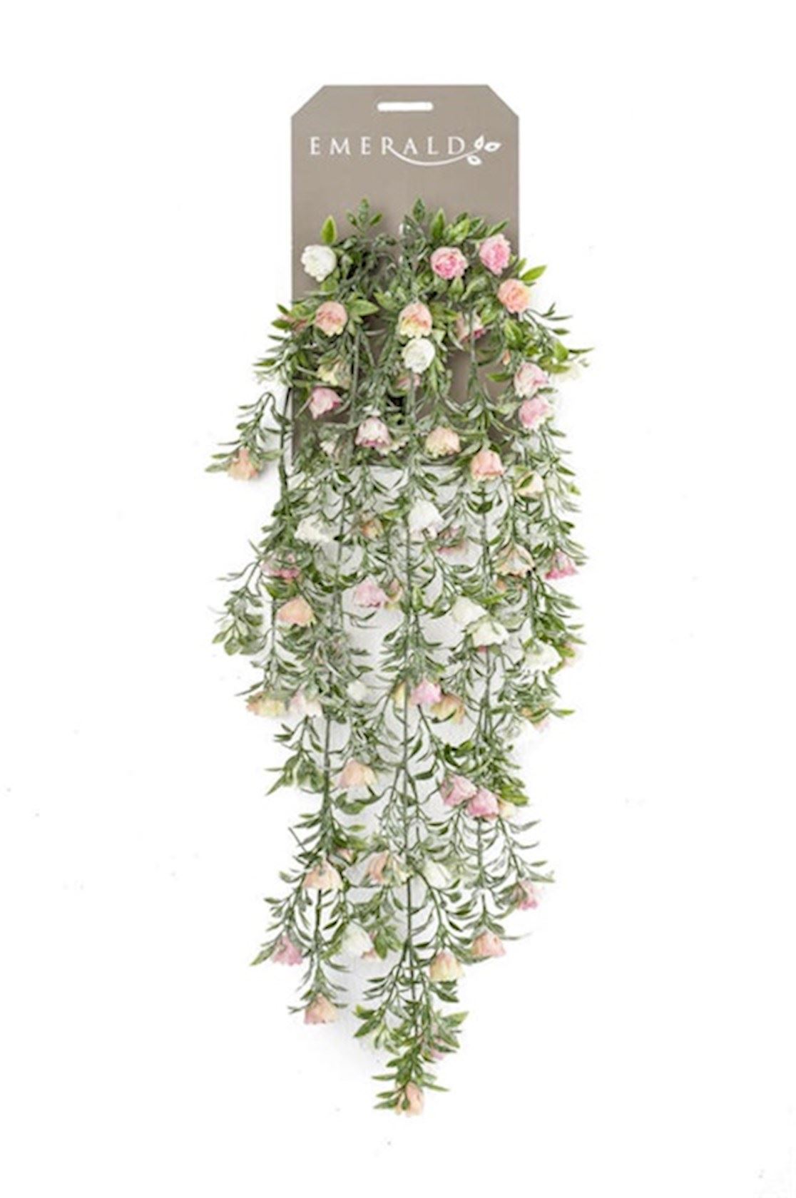 Rose-mini-hanging-bush-x5-75cm-cream-pink