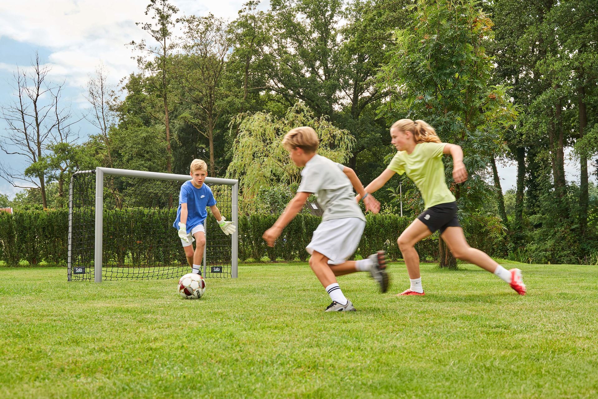 Salta-Champion-180x120x60cm