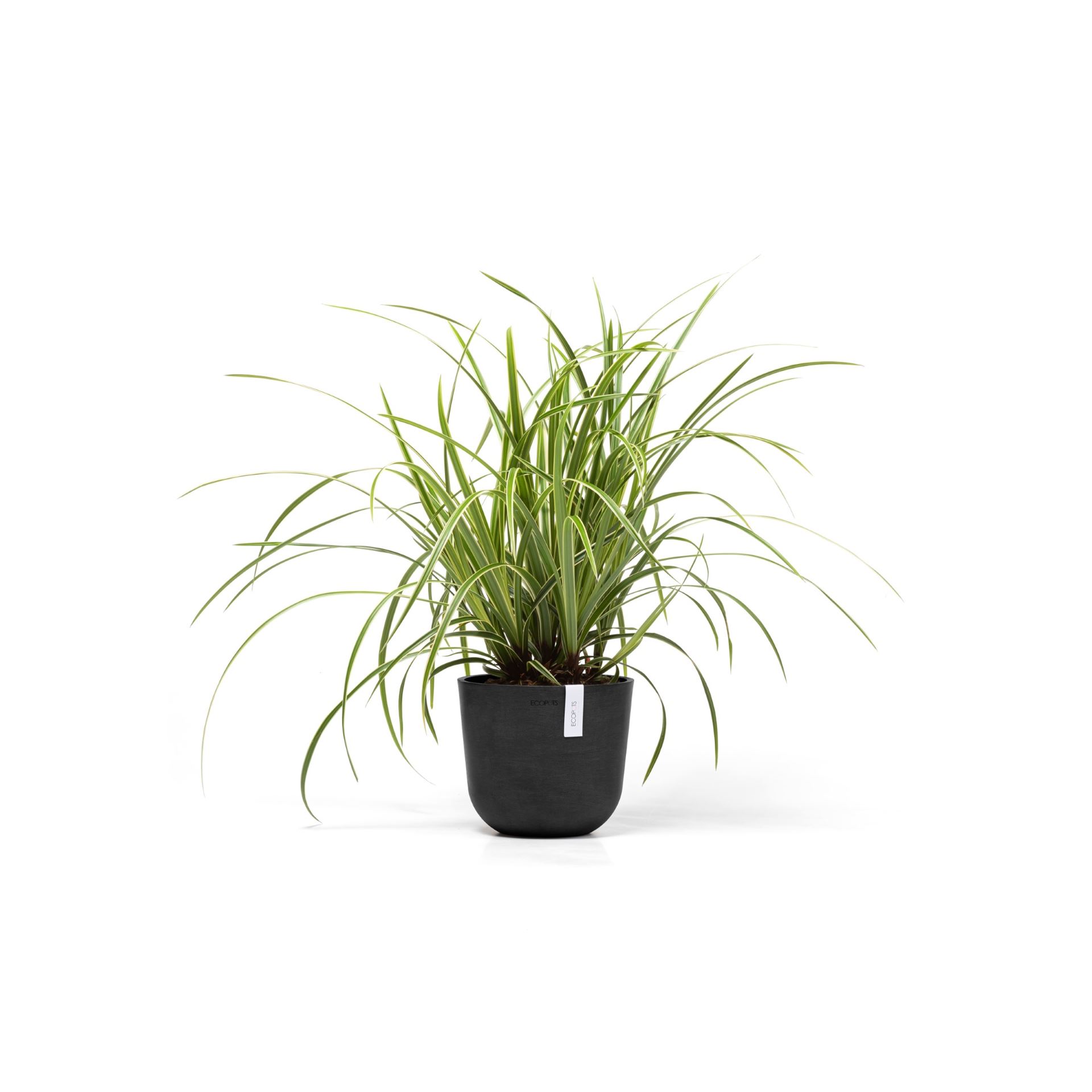 Ecopots-oslo-mini-dark-grey-19-cm-H16-5-cm