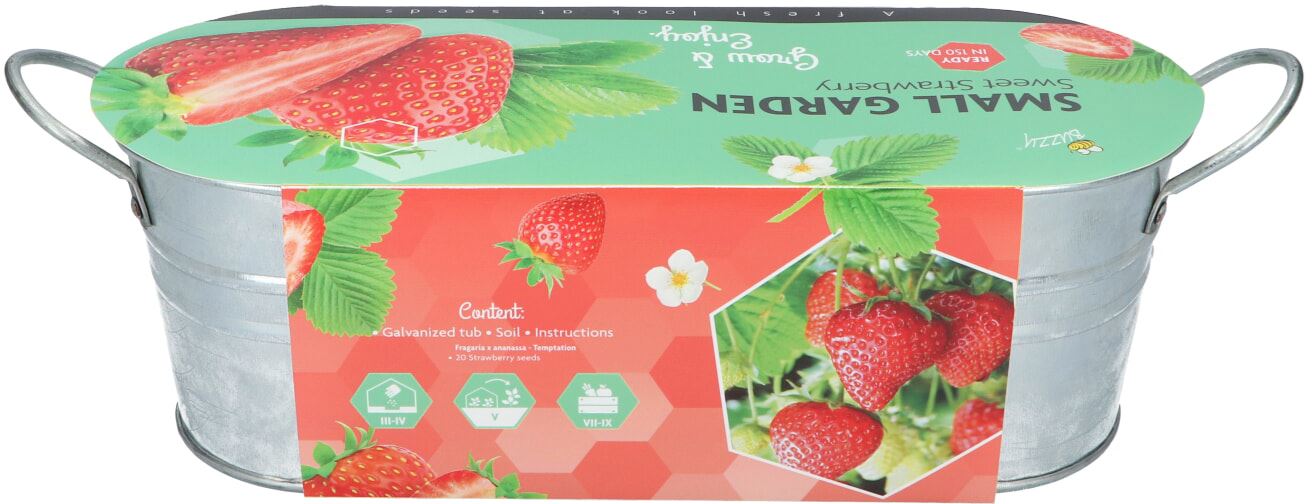 Buzzy-Small-Garden-Sweet-Strawberry