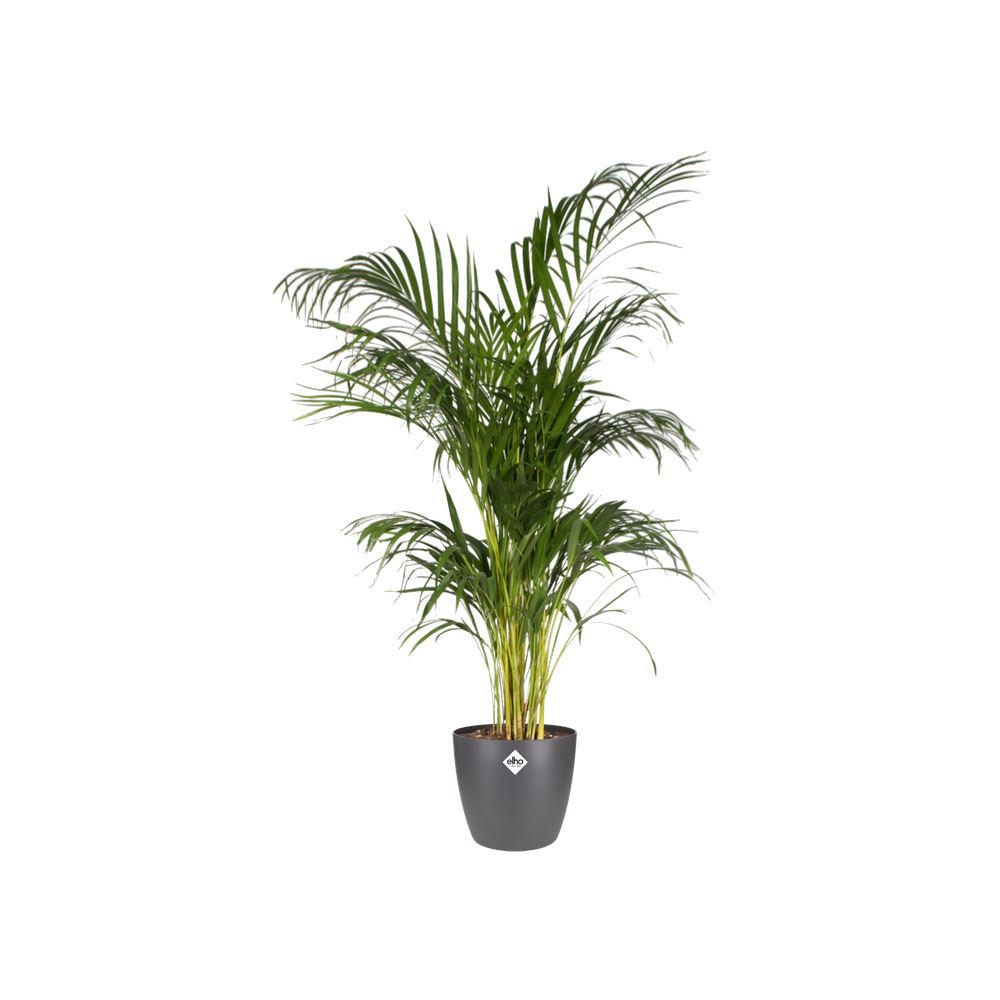 Bloempot-brussels-rond-22cm-antraciet