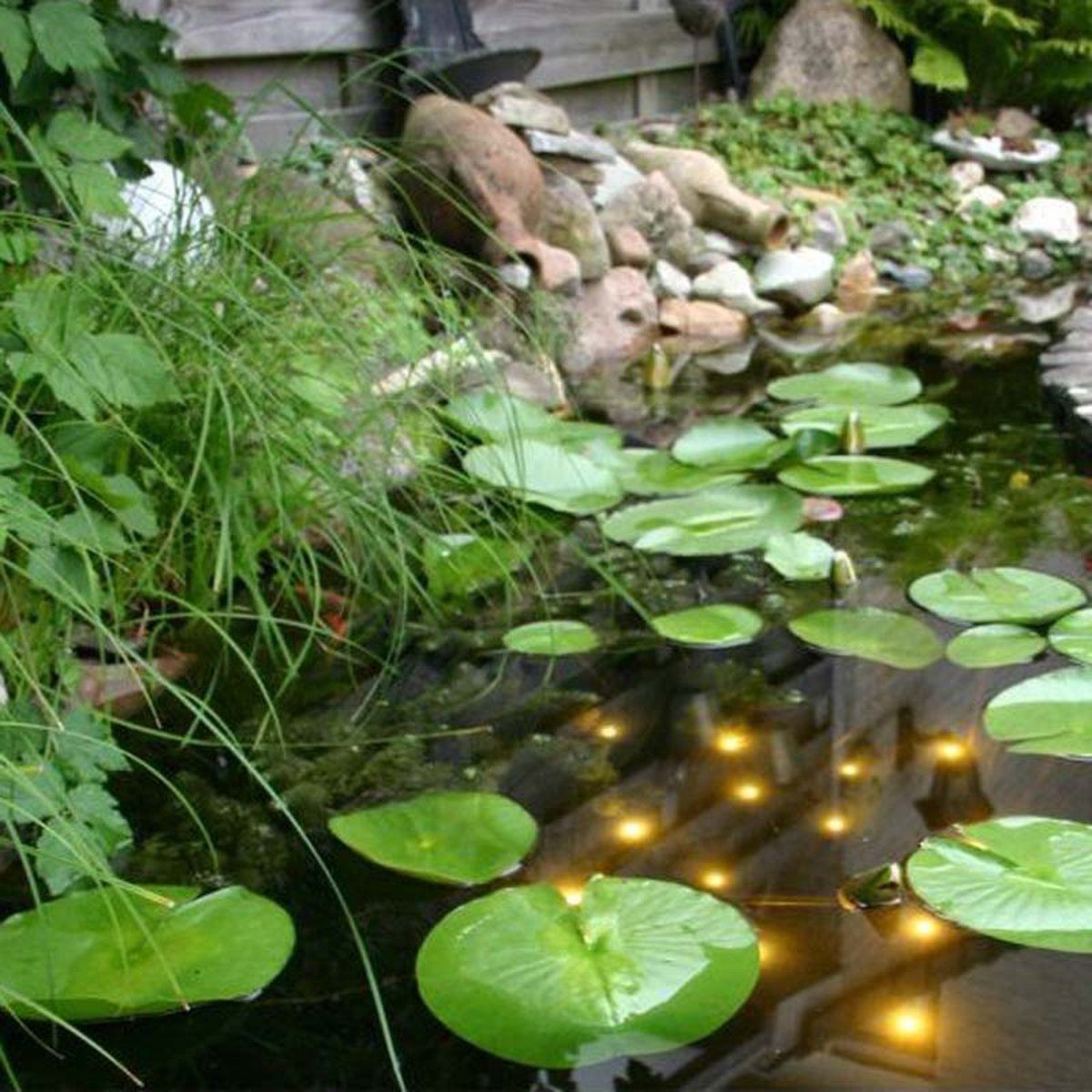 Welkin-Pond-Light