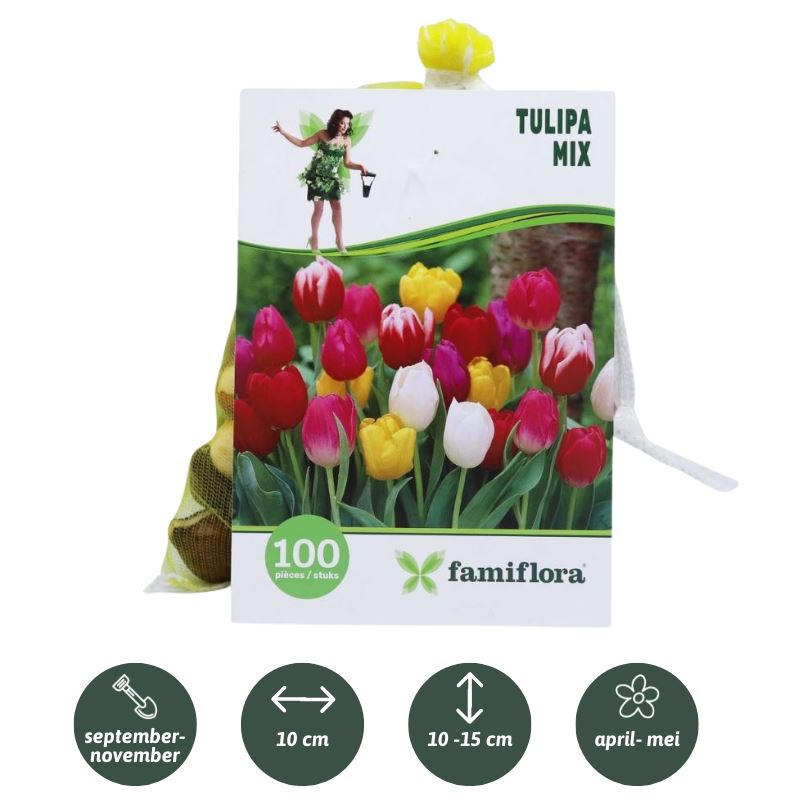 Tulipa-Mix-per-100