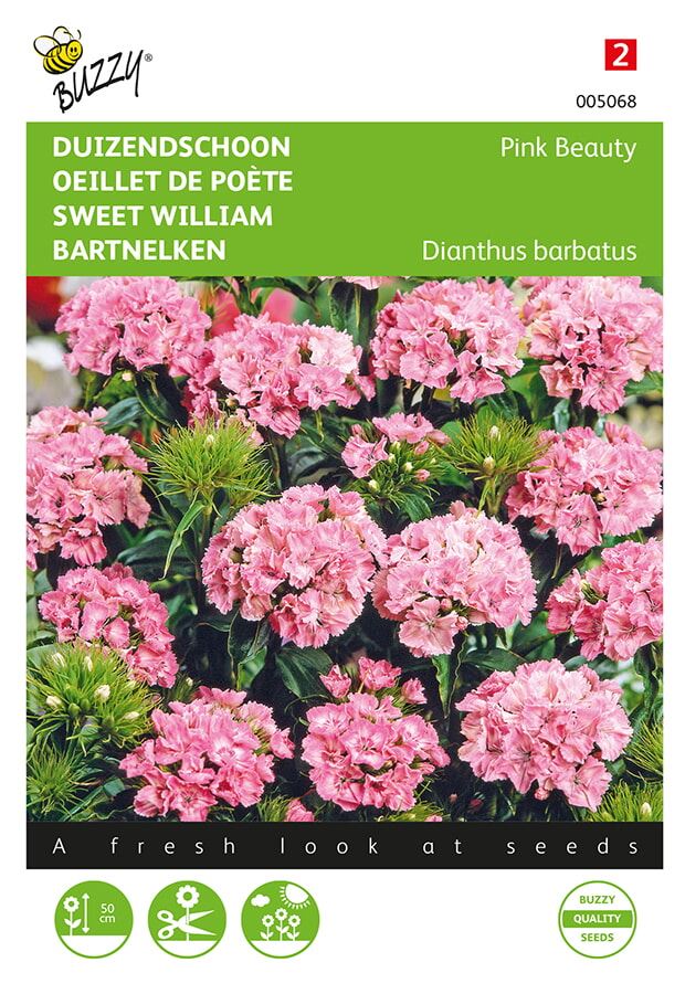 Buzzy® Duizendschoon zaden - Pink Beauty 