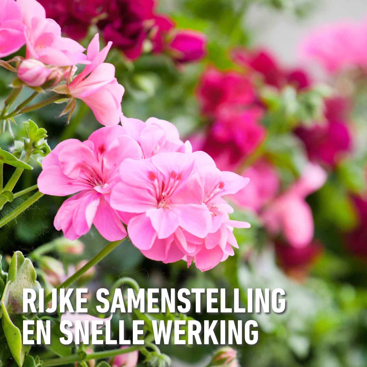 Compo-roze-korrels-vloeibaar-1L