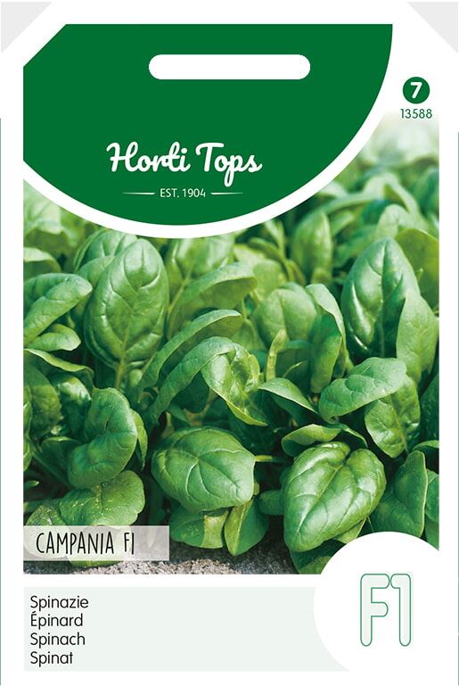 Horti Tops Spinazie zaden - Campania F1 - 50g 