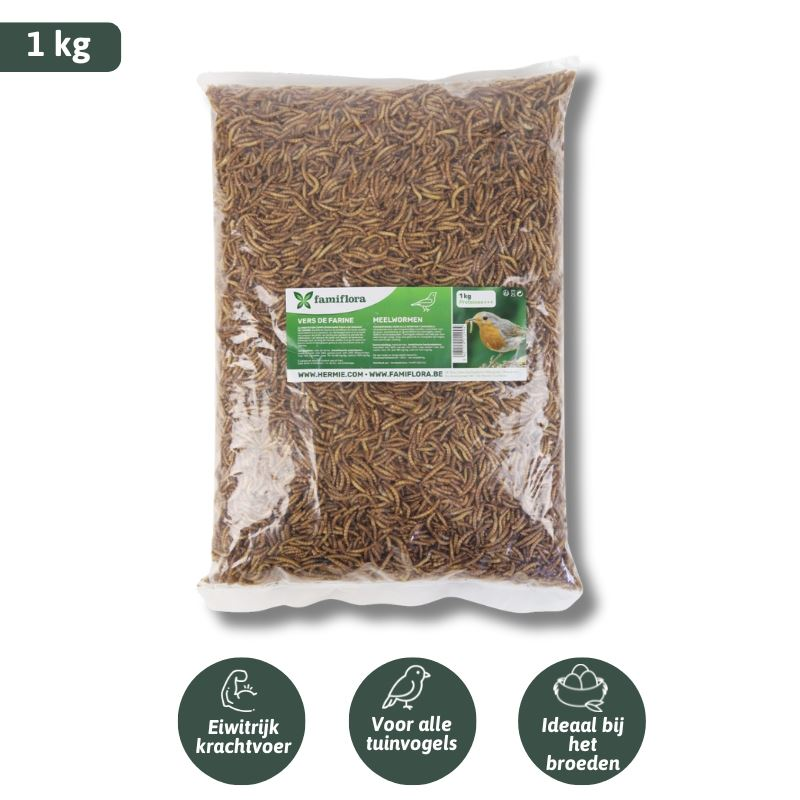 Famiflora gedroogde meelwormen 1 kg = ± 6L in zak - voor tuinvogels, kippen en vissen