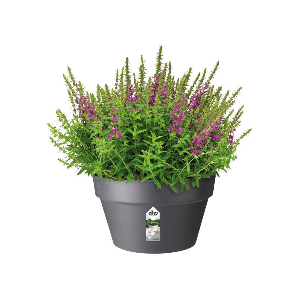 schaal-Loft-Urban-35cm-antraciet