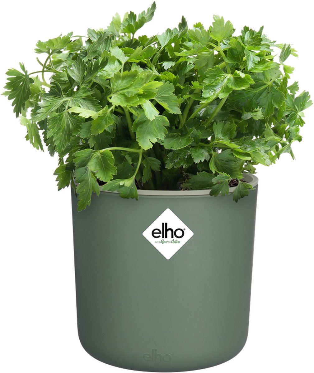happy-herbs-15cm-Blad-Groen