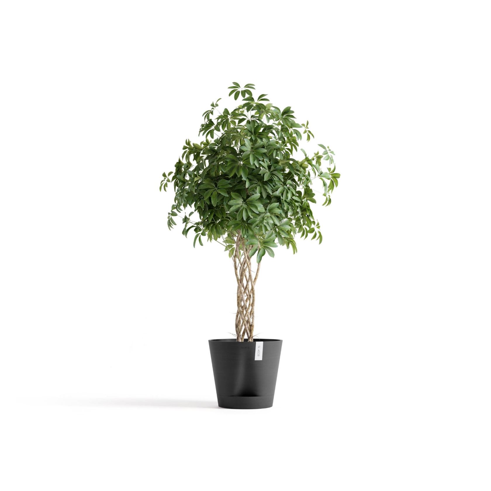 Ecopots-venice-2-dark-grey-40-cm-H35-cm-incl-waterreservoir