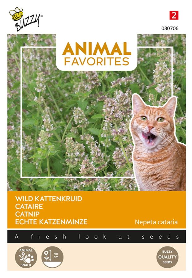 Buzzy-Animal-Favorites-Kattenkruid-Katten