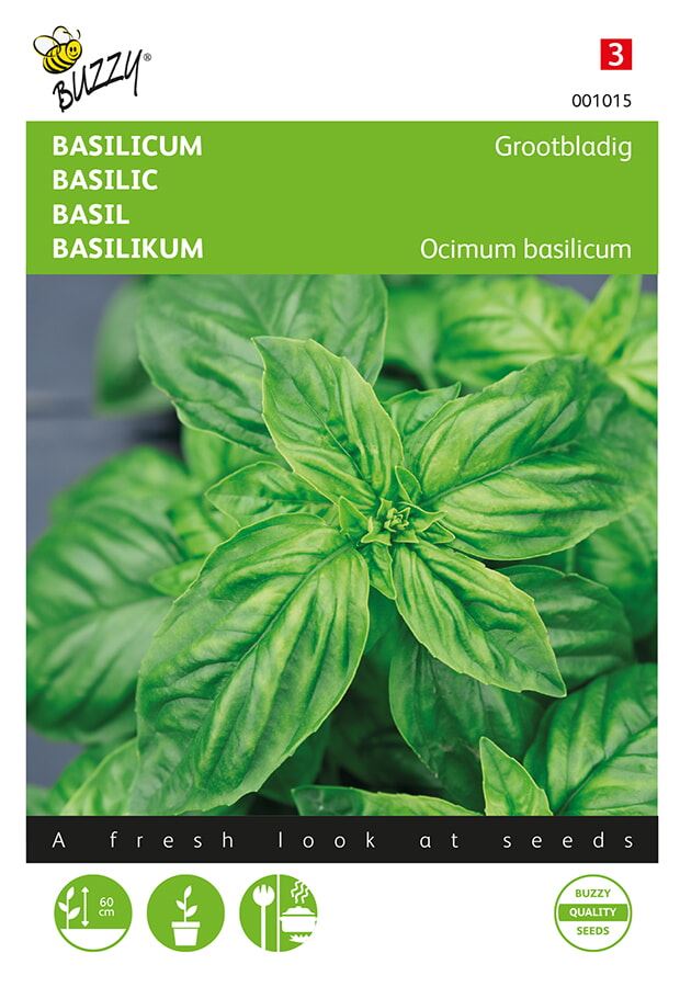 Buzzy® Basilicum zaden - Grove