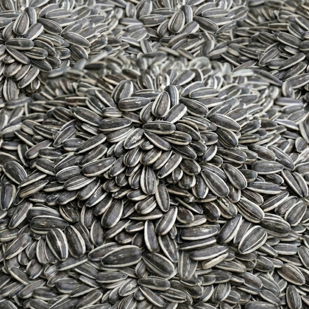 Vogelmix Gestreepte zonnebloempitten 12,5kg