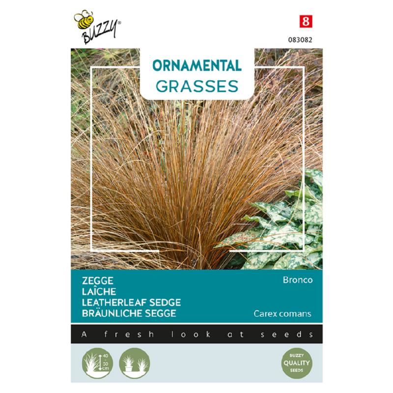 Buzzy-Ornamental-Grasses-Carex-comans-Bronco-