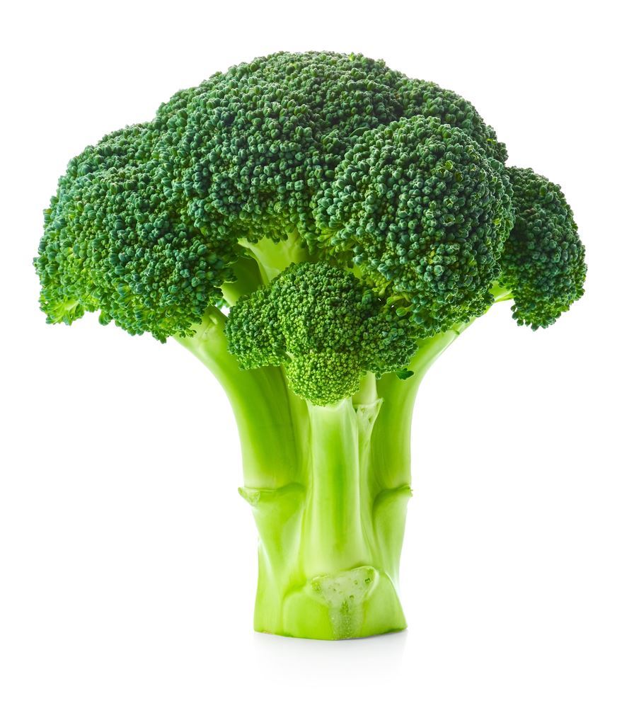 Plantenfiche-Brassica-oleracea-capitata-var-koros-F1-Broccoli-