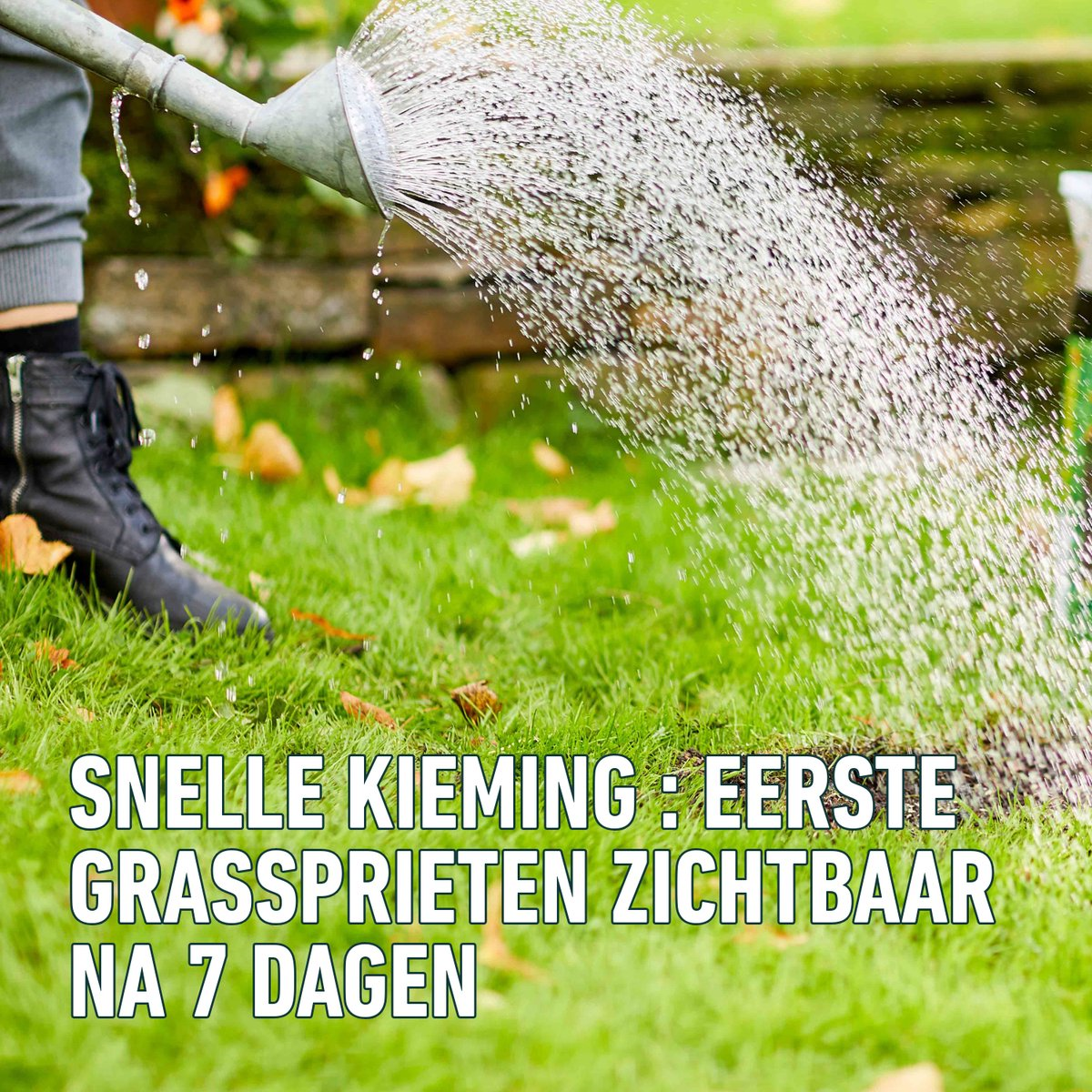 Compo Complete Mix 1.2kg - restaurer les pelouses gravement endommagées - 4 en 1 : graines de gazon, terreau, engrais + chaux - germination rapide - boîte pour 6 m²