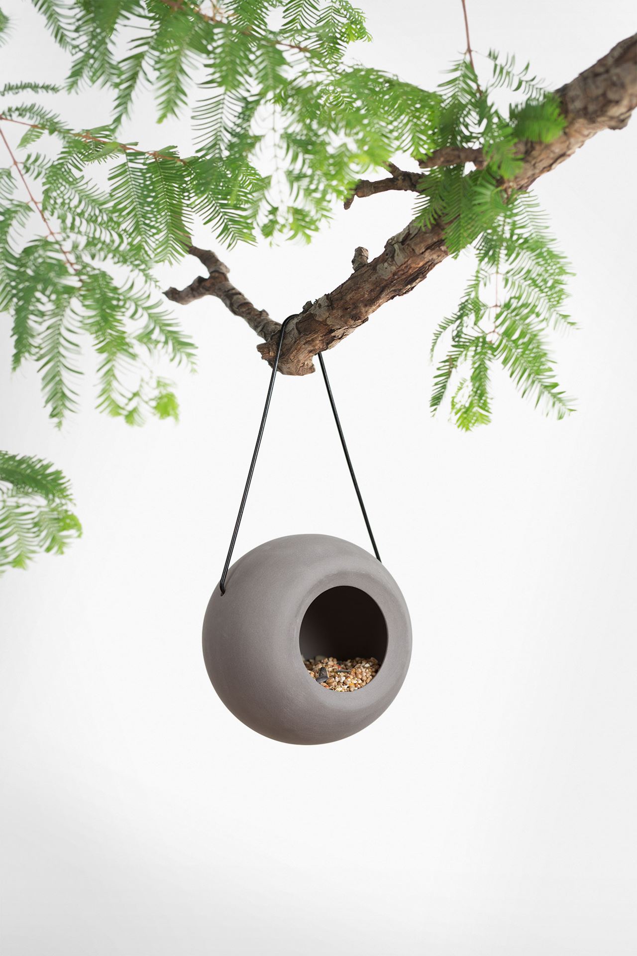 Singing-friend-Lisa-grijs